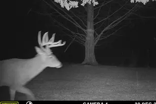 5032 Nell Lee Rd, Bennington, IN 47011 - Photo 33