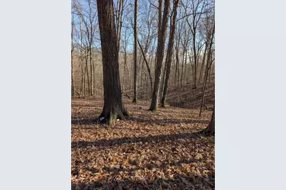 5032 Nell Lee Road, Bennington, IN 47011 - Photo 41