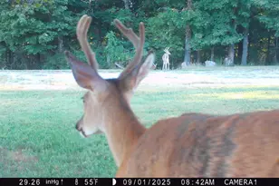 5032 Nell Lee Rd, Bennington, IN 47011 - Photo 33