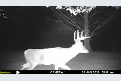 5032 Nell Lee Road, Bennington, IN 47011 - Photo 31