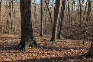 5032 Nell Lee Rd, Bennington, IN 47011 - Photo 39