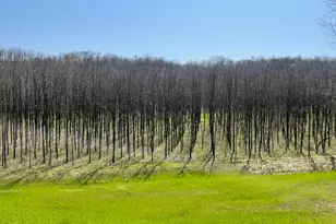 0 Sr 262, Dillsboro, IN 47018 - Photo 1