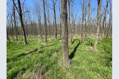 0 Sr 262, Dillsboro, IN 47018 - Photo 7