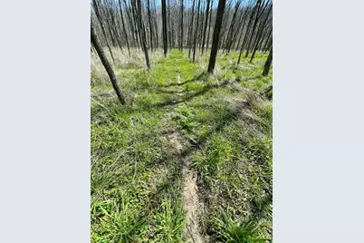 0 Sr 262, Dillsboro, IN 47018 - Photo 9