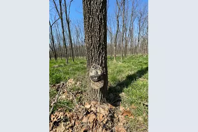 0 Sr 262, Dillsboro, IN 47018 - Photo 11