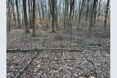 0 US Hwy 421, Versailles, IN 47042 - Photo 9