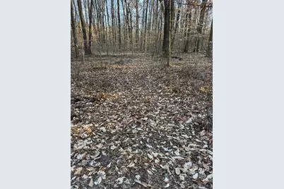 0 US Hwy 421, Versailles, IN 47042 - Photo 11