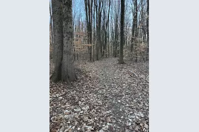 0 US Hwy 421, Versailles, IN 47042 - Photo 7