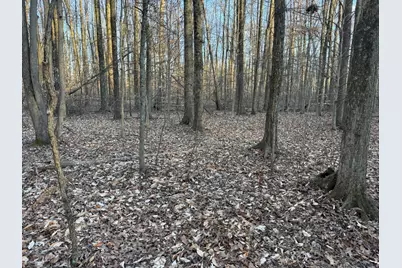 0 US Hwy 421, Versailles, IN 47042 - Photo 15