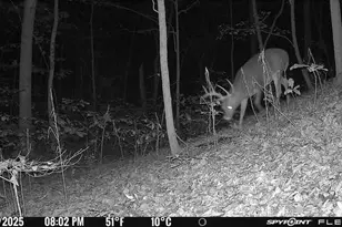 6274 Sr 129, Vevay, IN 47043 - Photo 55