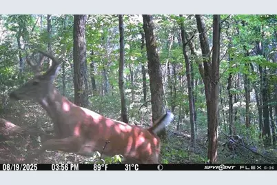 6274 Sr 129, Vevay, IN 47043 - Photo 63