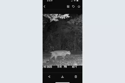 6274 Sr 129, Vevay, IN 47043 - Photo 59