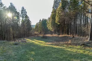 6113 Tapps Ridge Rd, Vevay, IN 47043 - Photo 55