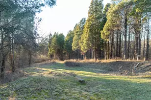 6113 Tapps Ridge Rd, Vevay, IN 47043 - Photo 53