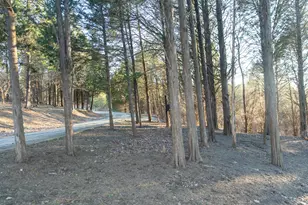 6113 Tapps Ridge Rd, Vevay, IN 47043 - Photo 41