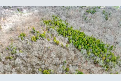 0 Peppertown Road, West Harrison, IN 47060 - Photo 11