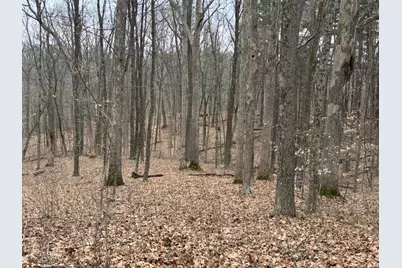 0 Wolf Creek, Brookville, IN 47012 - Photo 9