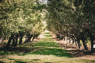 3321 N Old US Highway 421, Greensburg, IN 47240 - Photo 13