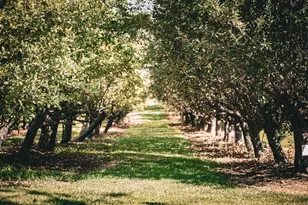 3321 N Old US Hwy 421, Greensburg, IN 47240 - Photo 13