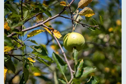 3321 N Old US Highway 421, Greensburg, IN 47240 - Photo 29
