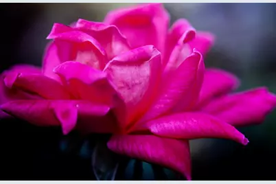 3321 N Old US Highway 421, Greensburg, IN 47240 - Photo 31