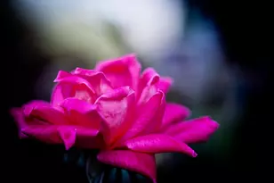 3321 N Old US Hwy 421, Greensburg, IN 47240 - Photo 31