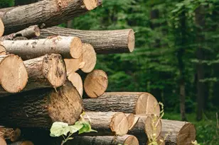 0 N Coonhunters Rd, Batesville, IN 47006 - Photo 1