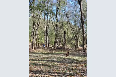 7690 Hartford Pike, Aurora, IN 47001 - Photo 35