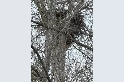 7690 Hartford Pike, Aurora, IN 47001 - Photo 7