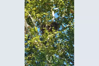 7690 Hartford Pike, Aurora, IN 47001 - Photo 23