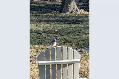 7690 Hartford Pike, Aurora, IN 47001 - Photo 53