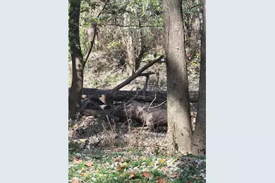 7690 Hartford Pike, Aurora, IN 47001 - Photo 33