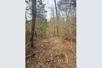 4035 Calihan Road, West Harrison, IN 47060 - Photo 25