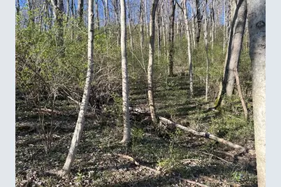 0 0 Henschen Road, Aurora, IN 47001 - Photo 7