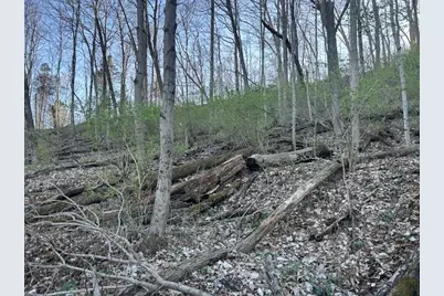 0 0 Henschen Road, Aurora, IN 47001 - Photo 19