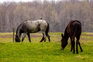 2673 E County Rd 150 N, Milan, IN 47031 - Photo 15