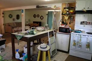 4801 Horton Rd, Rising Sun, IN 47040 - Photo 35