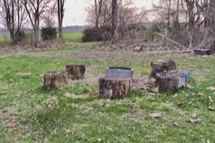 7568 N Old US Hwy 421, Saint Paul, IN 47272 - Photo 33