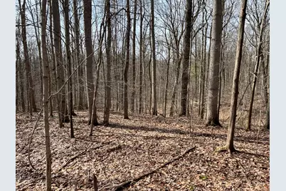 24115 Sanes Crk., Laurel, IN 47024 - Photo 23