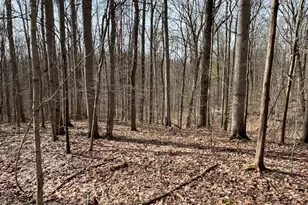 24115 Sanes Creek, Laurel, IN 47024 - Photo 23