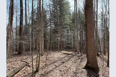 24115 Sanes Crk., Laurel, IN 47024 - Photo 27