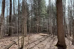 24115 Sanes Creek, Laurel, IN 47024 - Photo 27