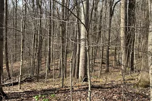 24115 Sanes Creek, Laurel, IN 47024 - Photo 21