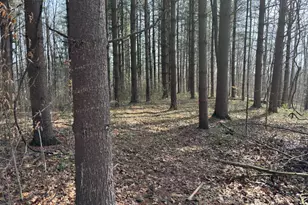 24115 Sanes Creek, Laurel, IN 47024 - Photo 33