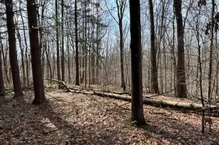 24115 Sanes Creek, Laurel, IN 47024 - Photo 31