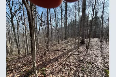 24115 Sanes Crk., Laurel, IN 47024 - Photo 25