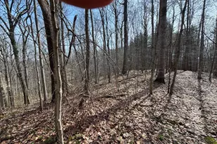 24115 Sanes Creek, Laurel, IN 47024 - Photo 25