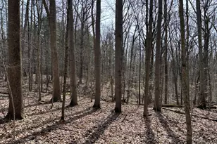 24115 Sanes Creek, Laurel, IN 47024 - Photo 19