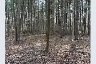 24115 Sanes Crk., Laurel, IN 47024 - Photo 29