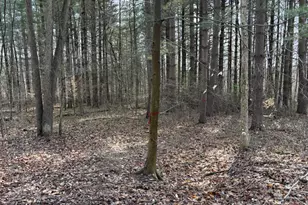 24115 Sanes Creek, Laurel, IN 47024 - Photo 29